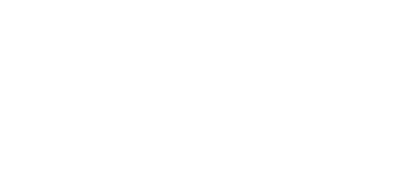 روکست گیمنگ partner logo